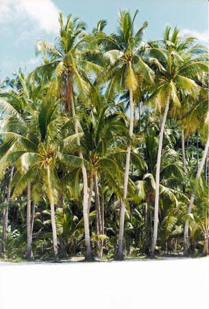 Filipinas_Boracay006