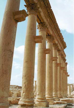 Palmyra009