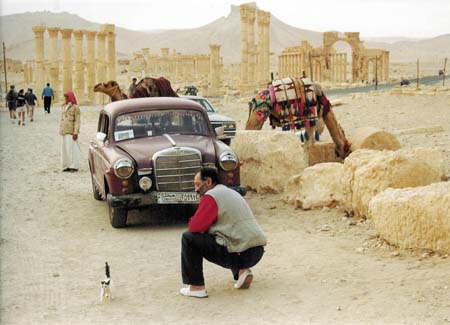 Palmyra040