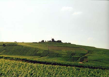 Reims012